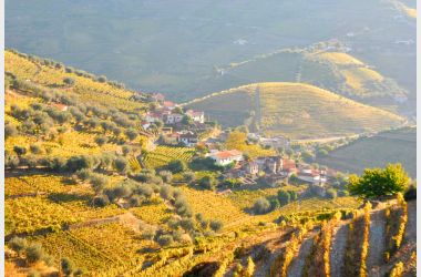 Tr&aacute;s-os-Montes